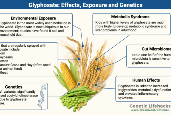 Glifozát-expozíció-hatásai-genetika