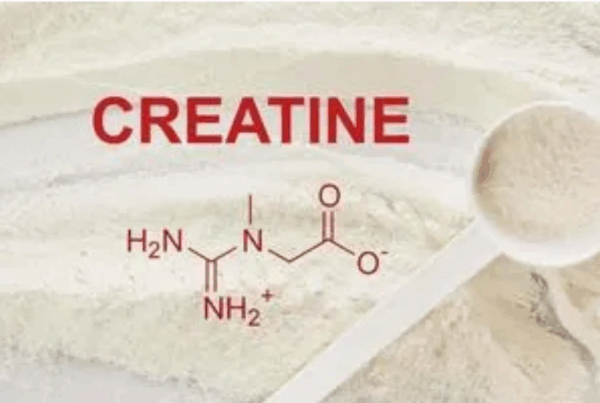 kreatin