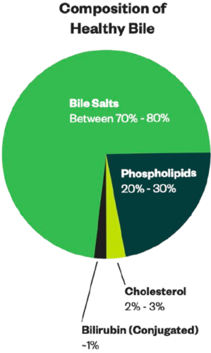 Dr.Ben Lynch epehólyag