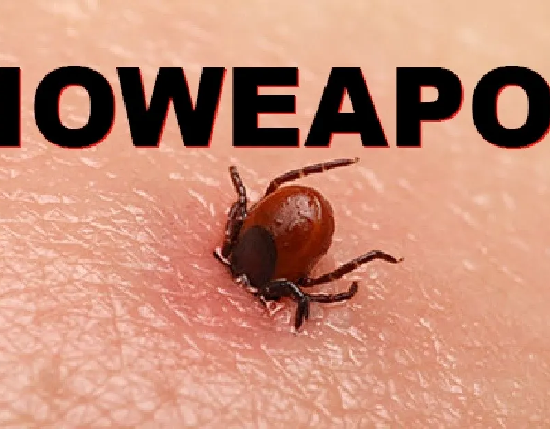 lyme kór