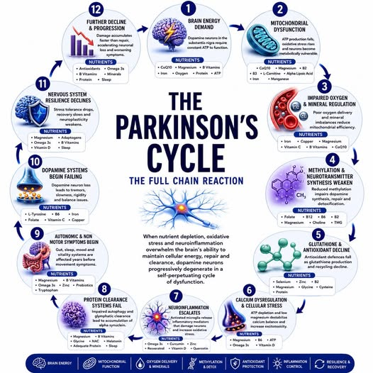 Parkinson cikk
