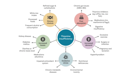 Thiamin3