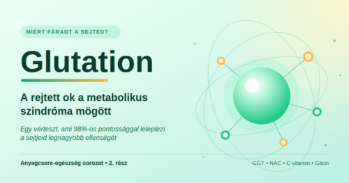 glutation-borito-vilagos