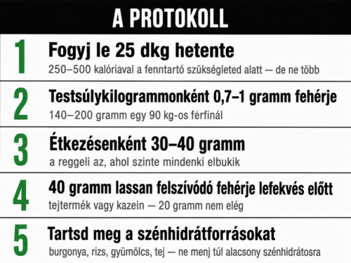 A protokoll