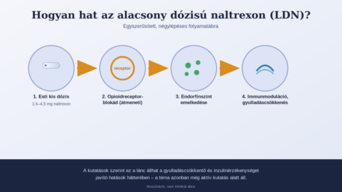 ldn-hatasmechanizmus