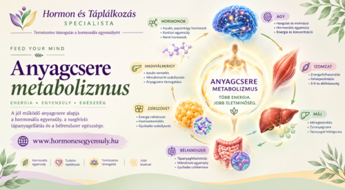 Anyagcsere metabolizmus