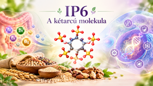 IP6 fitinsav