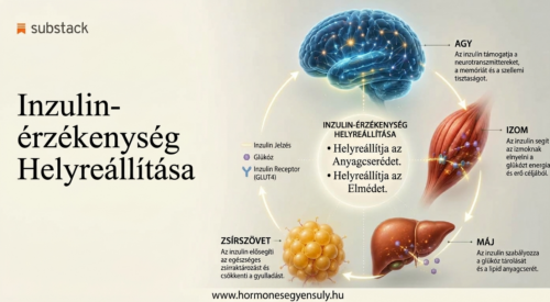 Az inzulinérzékenység helyreállítása