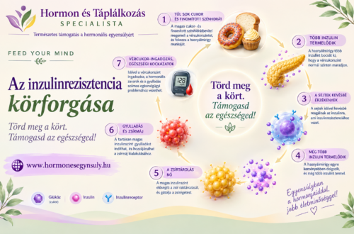 Az inzulinrezisztencia körforgása